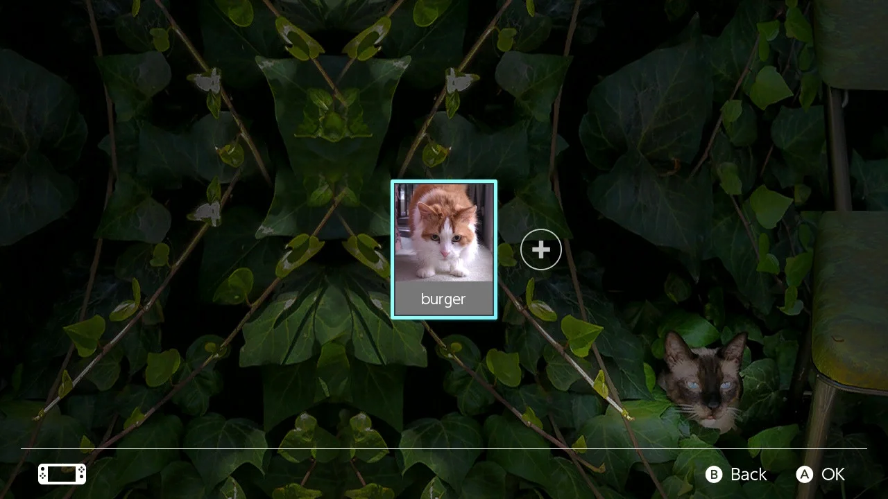 Screenshots