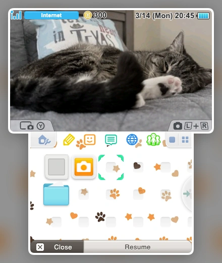 Screenshots